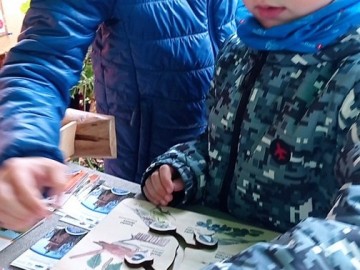 44. Święto Kwiatów, Owoców i Warzyw - w optymistycznym kolorze, 